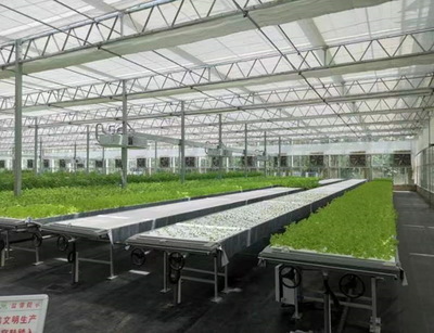 江蘇省鄉(xiāng)村發(fā)展基金會(huì)官方網(wǎng)站