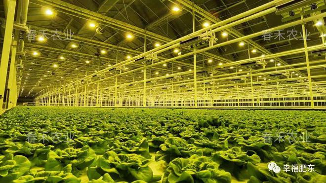 投資28億元!春禾智慧農(nóng)業(yè)產(chǎn)業(yè)園、光伏發(fā)電項(xiàng)目落戶肥東!