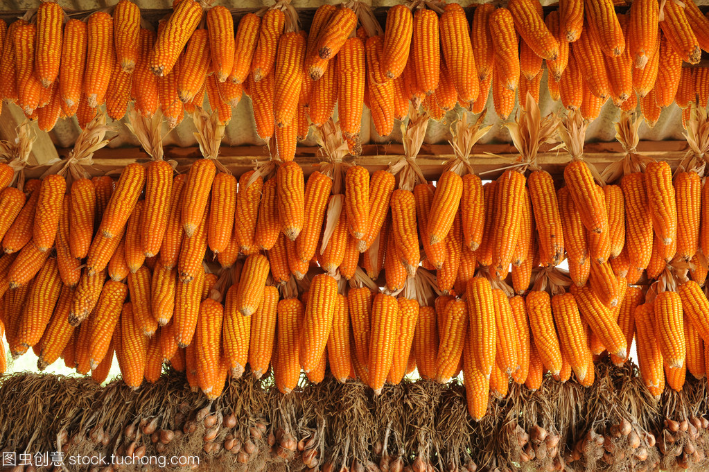 農(nóng)業(yè)產(chǎn)業(yè)產(chǎn)品