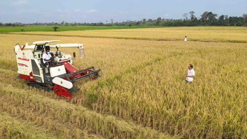 評(píng)論解讀 中國日報(bào)網(wǎng)