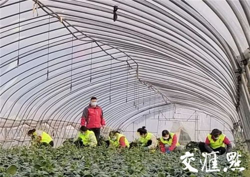 江蘇戰(zhàn)疫全景圖 無錫 預計挽回損失約10萬元 錫菜通 今年首單農(nóng)產(chǎn)品交易落地
