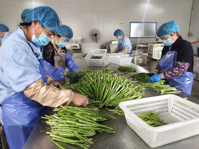 產(chǎn)業(yè)帶動(dòng)就業(yè)