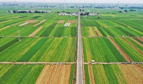 中國各個(gè)省份的 第一 ,廣東美食第一,剩下那17個(gè)省市想不到了