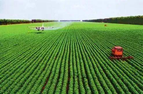 十四五 時期的農(nóng)業(yè)農(nóng)村發(fā)展環(huán)境分析與戰(zhàn)略思考