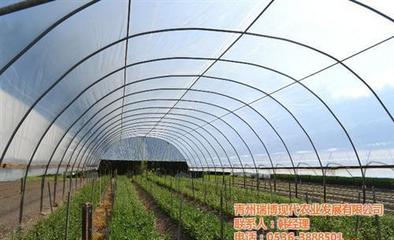 【新昌晟物產(chǎn)(圖) 溫室工程生產(chǎn)廠家】圖片,海量精選高清圖片庫