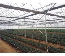 【山東大棚溫室(園藝用具)產(chǎn)品庫】_價格/圖片/廠家 - 園藝用具產(chǎn)品庫 - 貿(mào)易中心網(wǎng)手機(jī)版