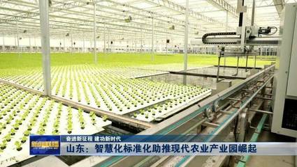 山東:智慧化標準化助推現(xiàn)代農業(yè)產業(yè)園崛起