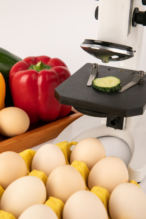 甜椒雞蛋食品安全農業(yè)科技食品培育攝影圖 插畫 下載至來源處