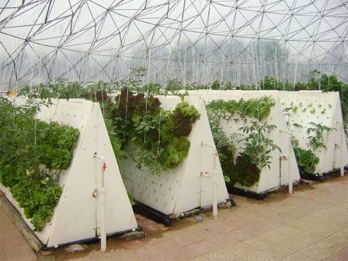 繡田農業(yè)有口皆碑 圖 無土栽培大棚 云南無土栽培