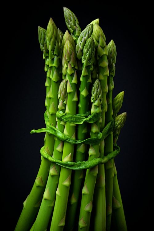 農產品蔬菜蘆筍圖片攝影圖 廣告素材 下載至來源處