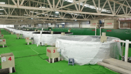 余慶縣:&ldquo;海鮮陸?zhàn)B&rdquo; 推動綠色漁業(yè)發(fā)展