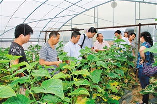 從農田到餐桌 抓好源頭監(jiān)管 為群眾提供放心優(yōu)質農產品