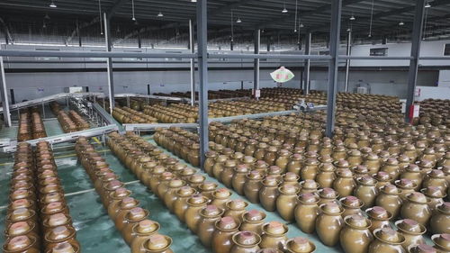 活力中國調研行丨沿著東江走出深山,老區(qū)農業(yè)如何撬開灣區(qū)市場