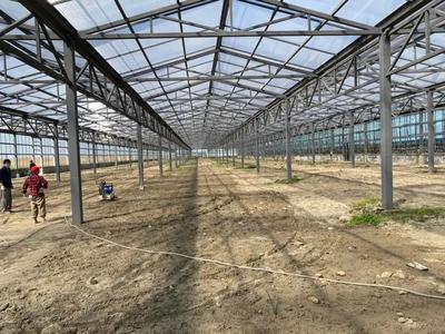 洛舍鎮(zhèn)扎實推進農業(yè)重大項目!