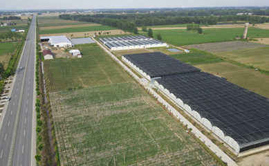 江漢明珠 多福多寶 走進湖北特色美食鄉(xiāng)鎮(zhèn)--天門多寶