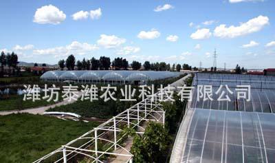 農(nóng)產(chǎn)大棚 日光溫室大棚及套件 優(yōu)質 大棚 【圖】