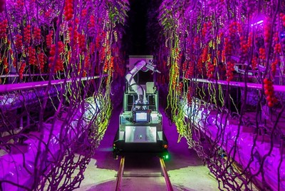 電裝與Certhon跨界創(chuàng)新實(shí)踐 Artemy機(jī)器人 開啟農(nóng)業(yè)工廠化時代