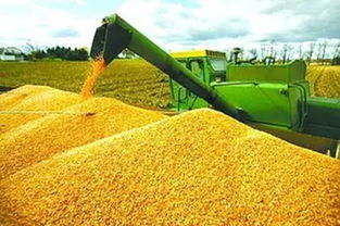 順應(yīng)我省農(nóng)業(yè)供給側(cè)結(jié)構(gòu)性改革大潮 打造新型農(nóng)產(chǎn)品經(jīng)紀(jì)人