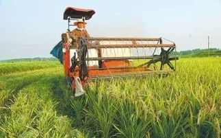 休閑農業與鄉村旅游示范應具備的基本條件