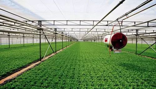 現(xiàn)代農(nóng)業(yè)讓城市更美好 黨的十八大以來都市現(xiàn)代農(nóng)業(yè)發(fā)展綜述