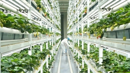 以招商引資實效助推經濟高質量發展--靜寧縣赴江西浙江山東招商考察側記