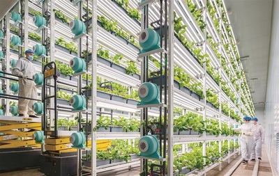 大國強(qiáng)農(nóng)向新行 現(xiàn)代農(nóng)業(yè)發(fā)展的戰(zhàn)略路徑