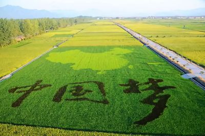 鄉(xiāng)村振興視域下的工農(nóng)關(guān)系變革 改革開放四十年的啟示