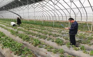 農(nóng)產(chǎn)品抽檢筑牢安全防線 親子運(yùn)動(dòng)會(huì)共繪社區(qū)春色——合陽(yáng)金水社區(qū)近期活動(dòng)側(cè)記