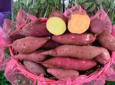 安吉綠耕生態(tài)農(nóng)業(yè)發(fā)展 從“大番薯”看薯類作物的生態(tài)價(jià)值與產(chǎn)業(yè)未來(lái)