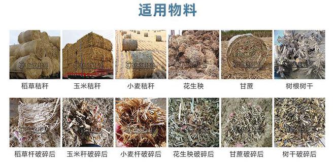生物質(zhì)向替代燃料的轉(zhuǎn)化之路