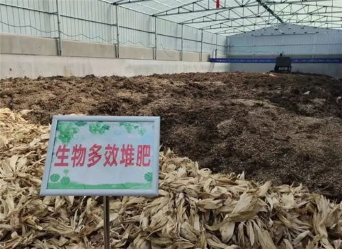 青島 創(chuàng)新工作方法 讓垃圾分類 難點(diǎn) 變 亮點(diǎn)