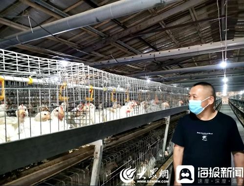 人病獸防 關口前移 臨沂河東區(qū) 無疫區(qū) 建設為畜禽產品把好關