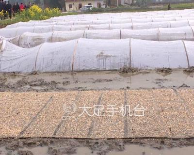 西洽會(huì):2億元生態(tài)環(huán)保項(xiàng)目落戶我區(qū)