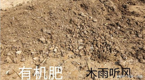 畜禽糞便當(dāng)肥效果好,使用不當(dāng)起反作用,畜禽糞便的危害原因