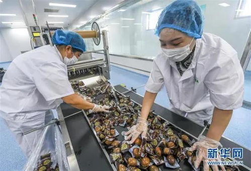 王鳳忠 農(nóng)產(chǎn)品加工業(yè)要關(guān)注 三個蘋果 模式