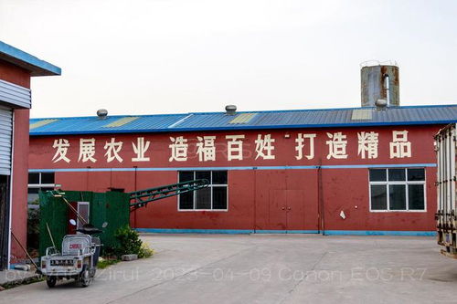 畜禽糞便做肥料,旱地小米市場俏丨安陽眾興米業
