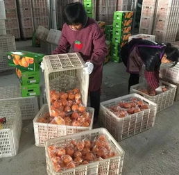 第一次賣臍橙就賣出一個億的 90 后小伙,還和菜鳥干了件大事