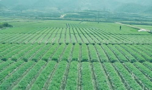 省級示范區(qū),磐安這里上榜了