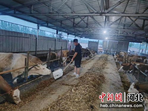 河北南宮 特色養(yǎng)殖引領(lǐng)鄉(xiāng)村發(fā)展新活力
