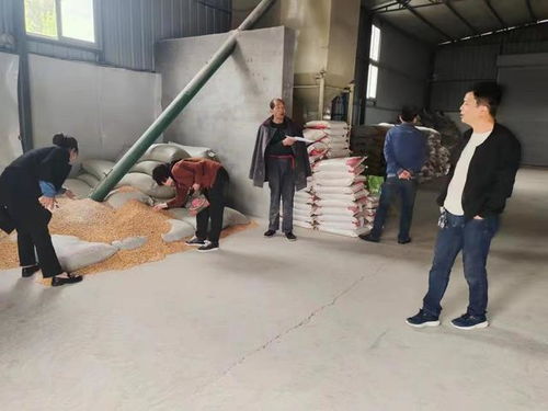 韓城市畜牧中心 落實(shí)安全用藥技術(shù)管控 嚴(yán)把畜禽產(chǎn)品質(zhì)量安全關(guān) 圖