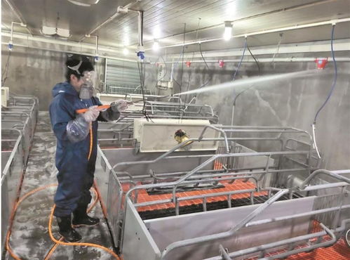 畜牧行業多措并舉推進災后恢復