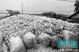 廣東揭西10噸未經(jīng)處理醫(yī)療垃圾藏于深山老林