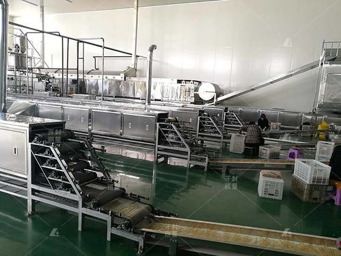 選購自動(dòng)化粉皮機(jī)開辦粉皮加工廠離不開這三大支持