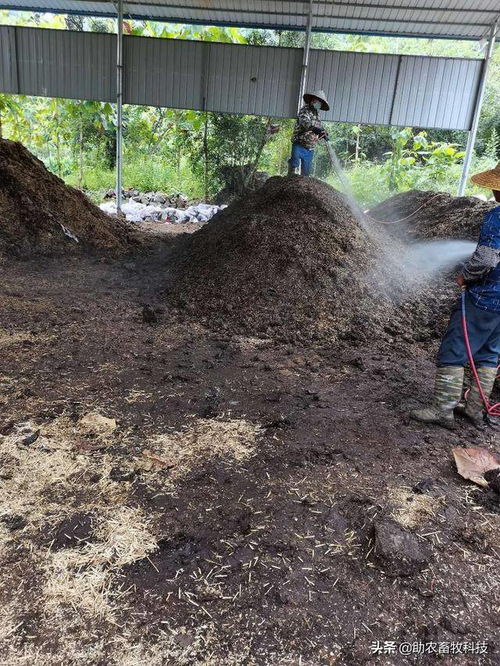 如何將動物糞便快速轉化為生物有機肥料