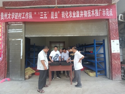 天眼新聞客戶端:用好農業廢棄物,牽住綠色發展“牛鼻子”--貞豐縣持續探索“蟲”經濟