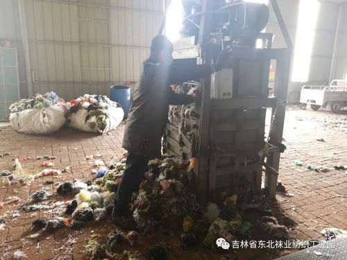 雙增活動 系列報道之三十八